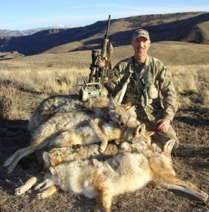 Coyote Hunting Tips