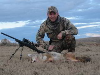 Best Time to Coyote Hunt